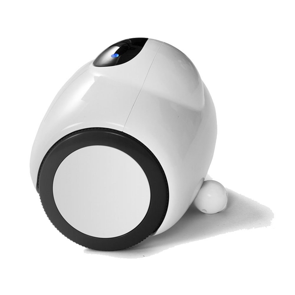 Cemara Smart Charger 5V 2A US Back